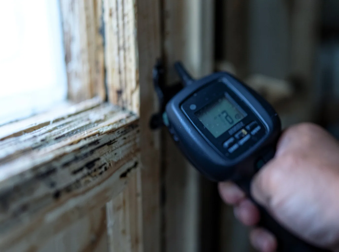 Moisture Inspection And Documentation in Palm Beach Gardens, FL